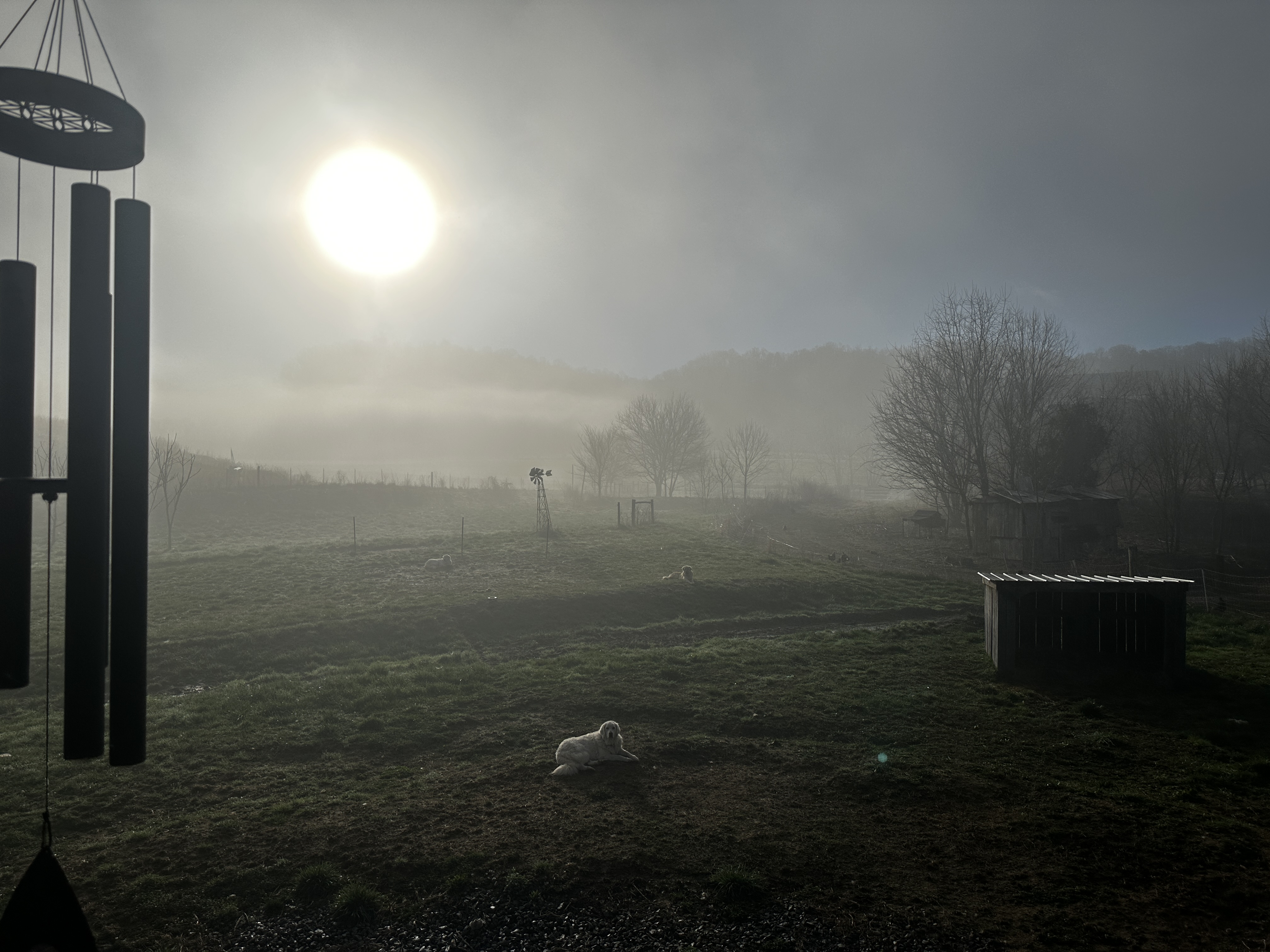 Fog fills the Valley